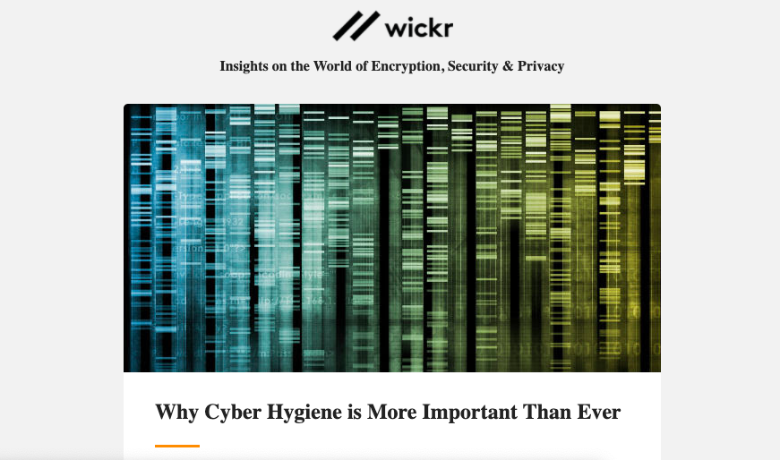 Why Cyber Hygiene is More Important Than Ever